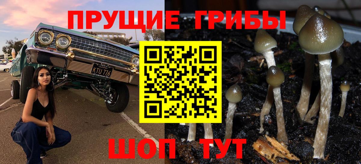 Галлюциногенные грибы мицелий  Вход с VPN  Галлюциногенные грибы ЛСД  Барабинск 