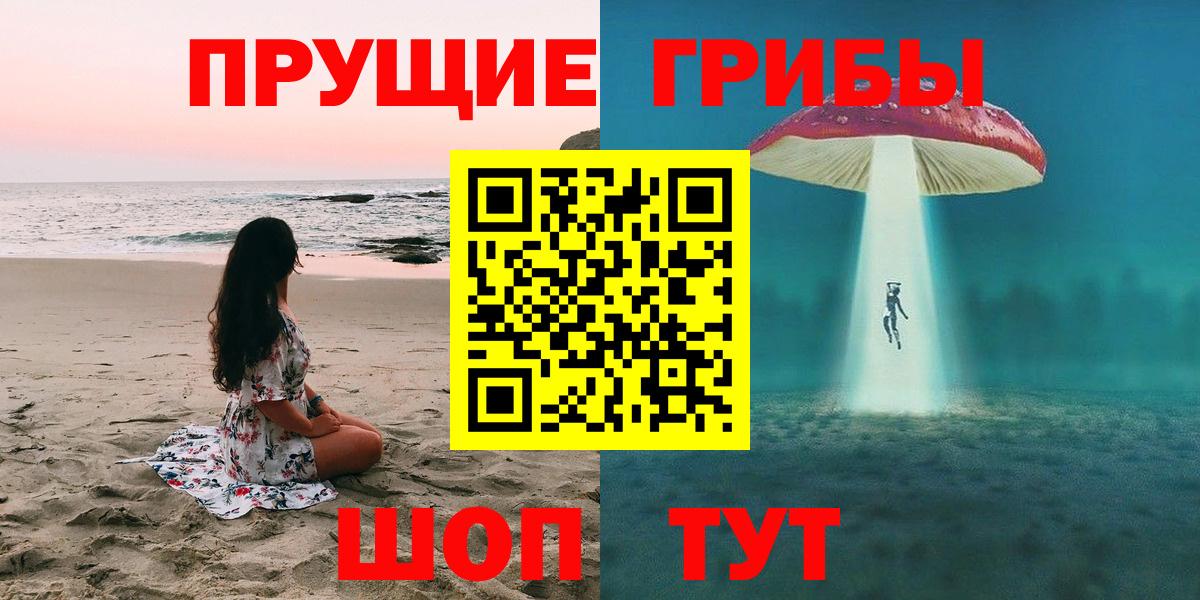 Галлюциногенные грибы Psilocybe Барабинск